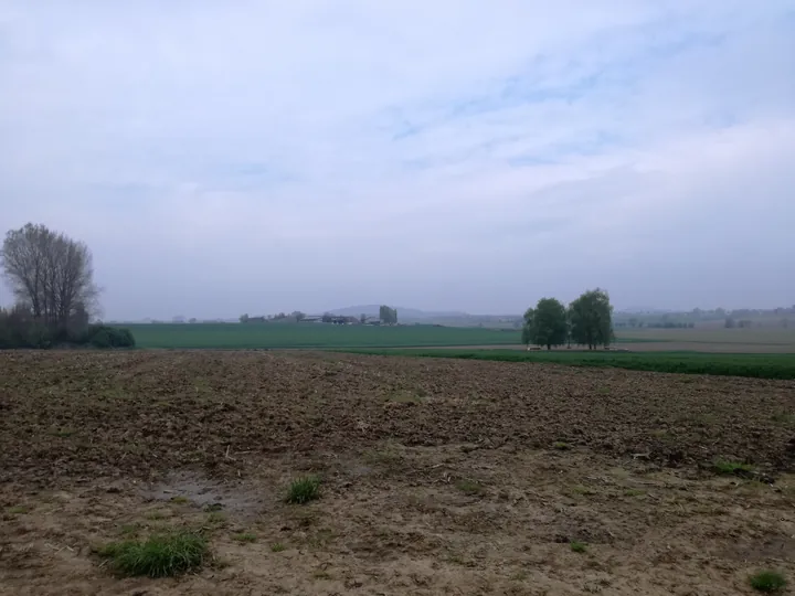 Bayernwald, Wijtschate, Heuvelland (Belgium)